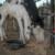 Register APHA "Blue Bandit Bars" (colt)